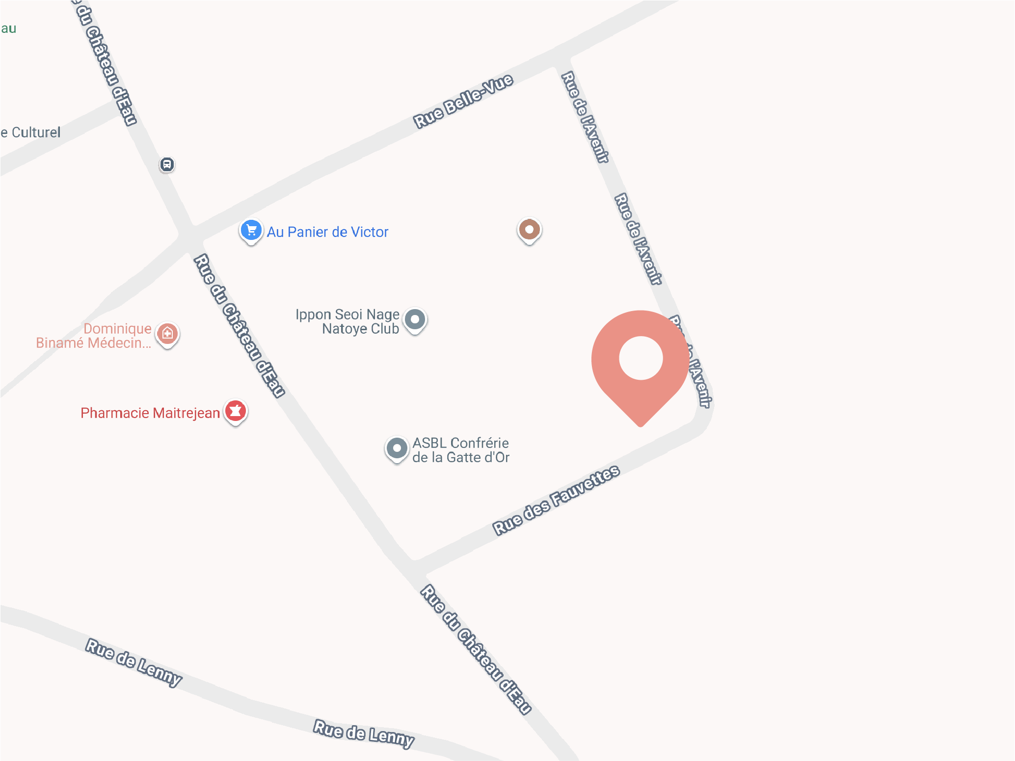 Carte indiquant l’emplacement de Natoye, près de Namur, où ont lieu les séances de massage bébé